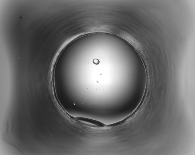 X0000098071200200804110916