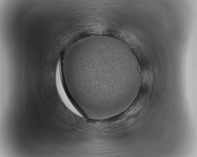 X0000098071202200804110915