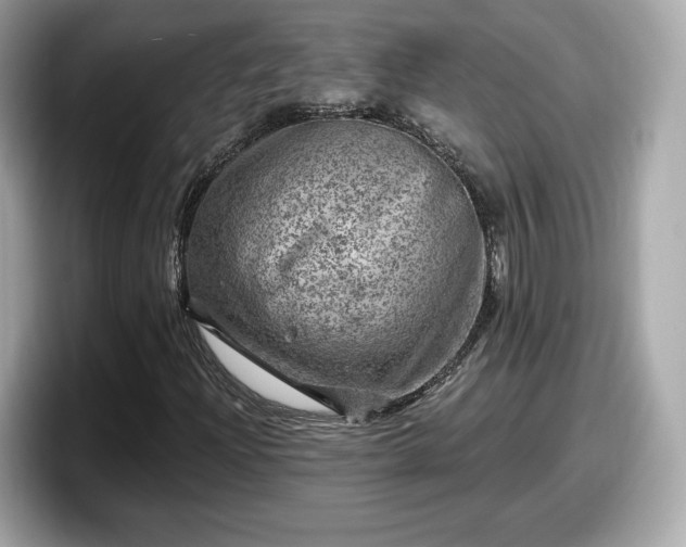 X0000098071204200804110915