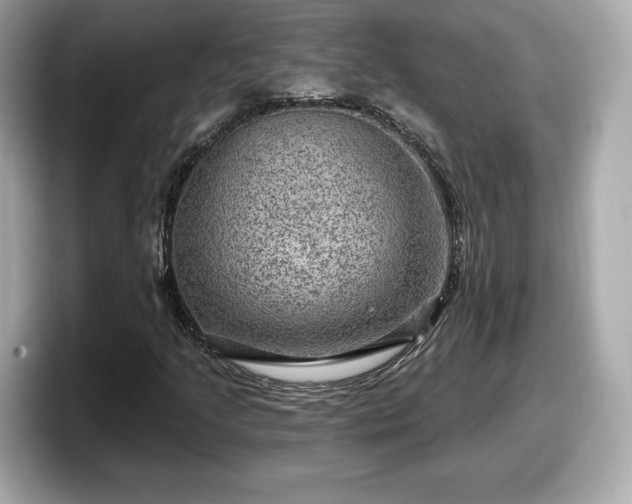 X0000098071205200804110915