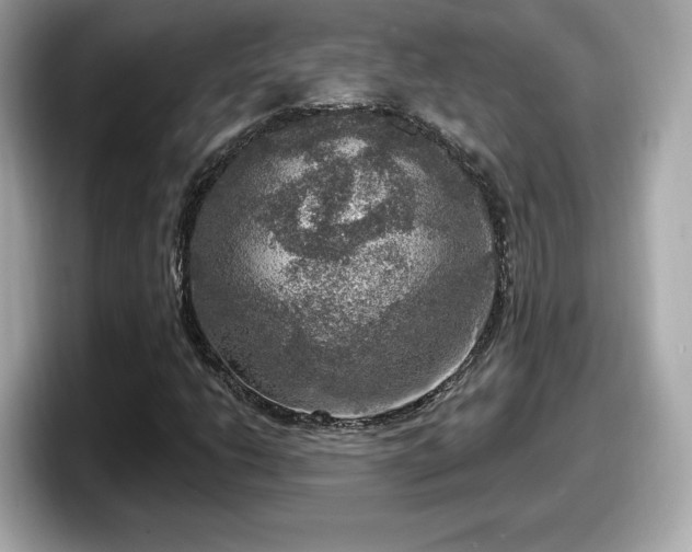 X0000098071206200804110915