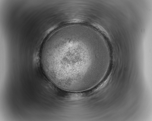 X0000098071210200804110916