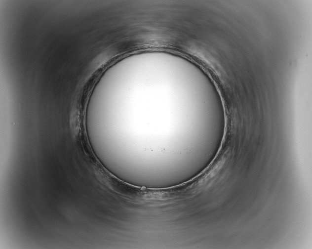 X0000098071211200804110916