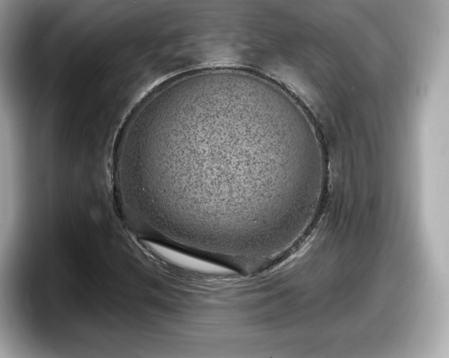 X0000098071212200804110916