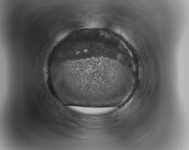 X0000098071213200804110916