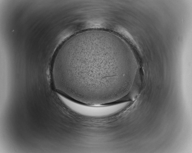 X0000098071218200804110916