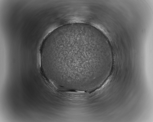 X0000098071219200804110916