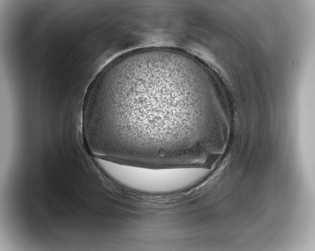 X0000098071220200804110916