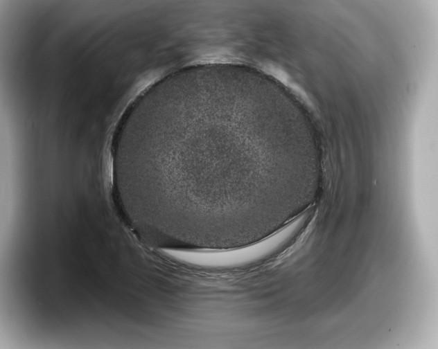 X0000098071221200804110916