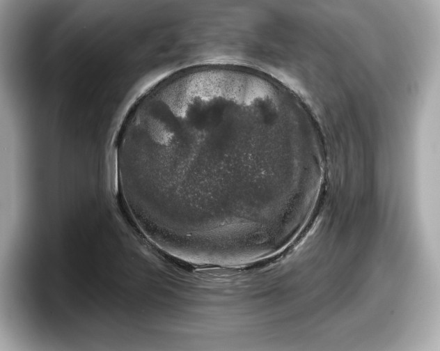 X0000098071223200804110916