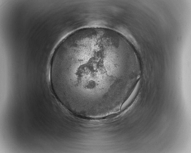 X0000098071224200804110916