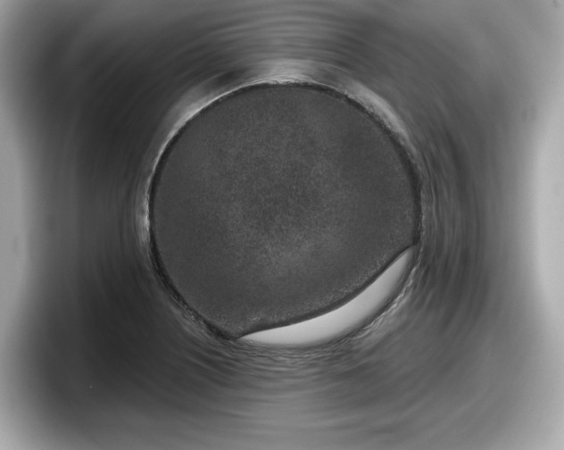 X0000098071226200804110916