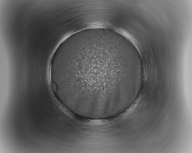 X0000098071227200804110916