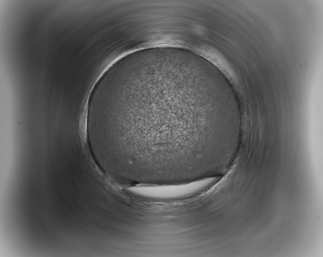 X0000098071228200804110916