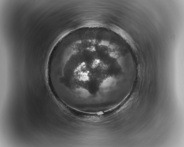 X0000098071229200804110916