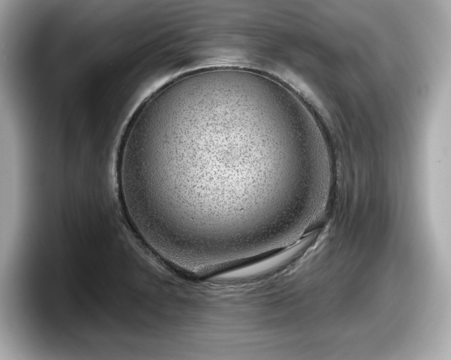 X0000098071230200804110916