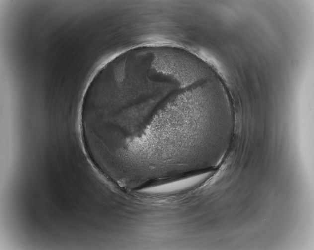 X0000098071231200804110916