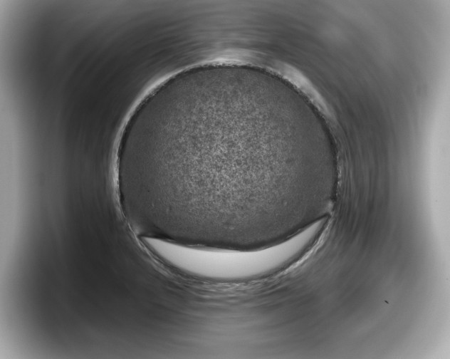 X0000098071232200804110916