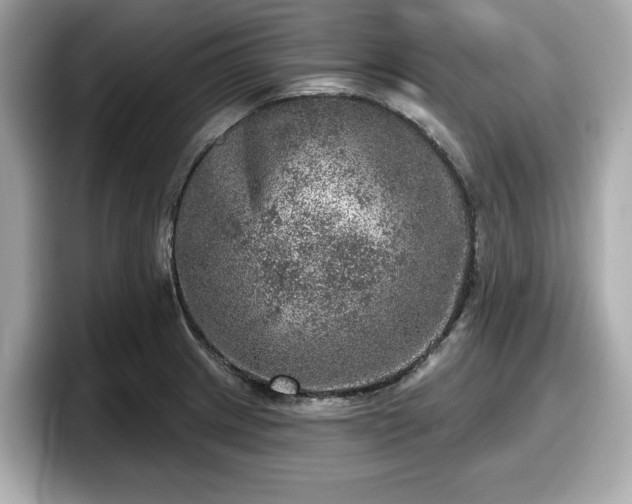 X0000098071233200804110916