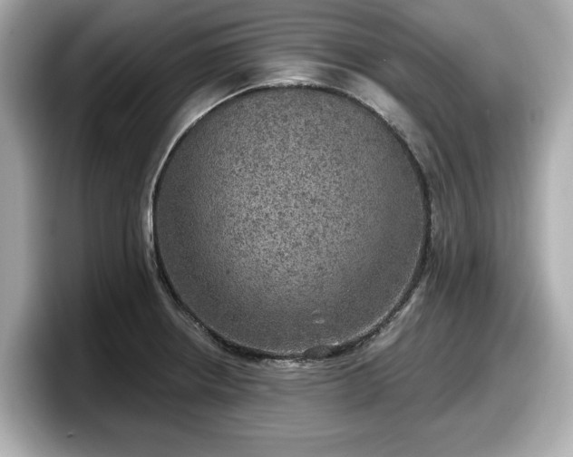 X0000098071234200804110916