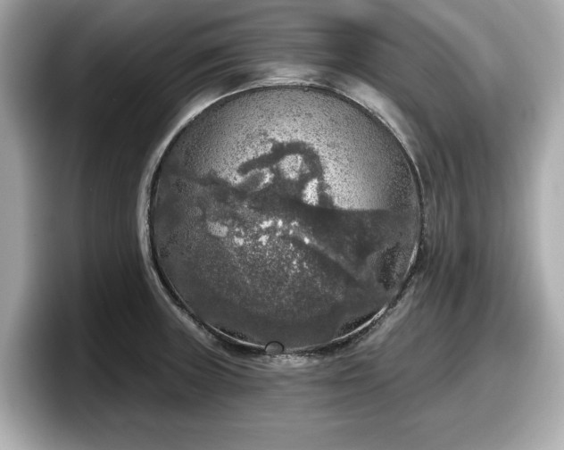 X0000098071235200804110916