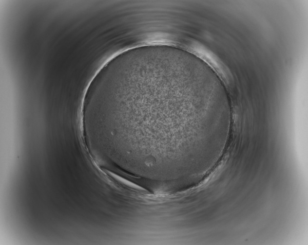 X0000098071236200804110916