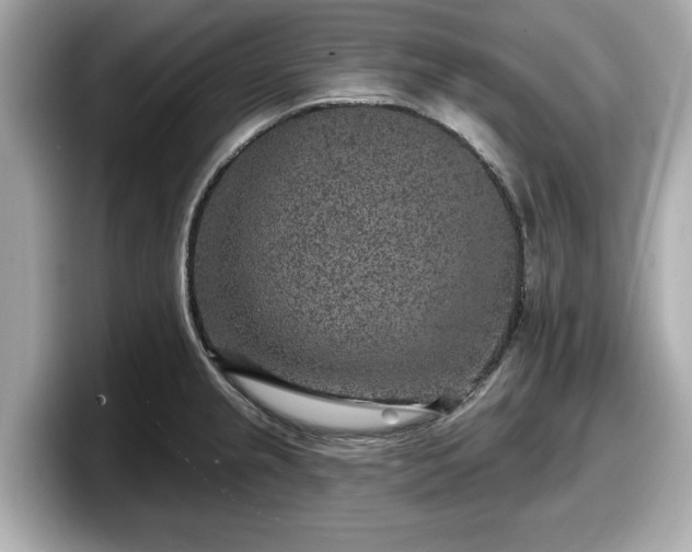 X0000098071237200804110916