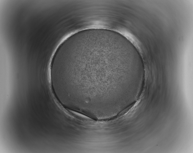 X0000098071238200804110916