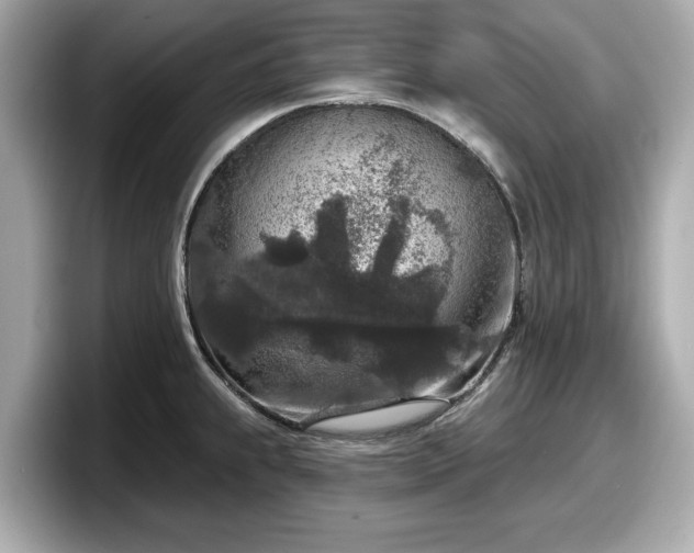 X0000098071239200804110916