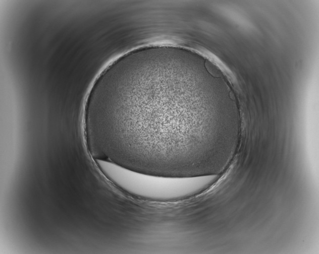 X0000098071240200804110916