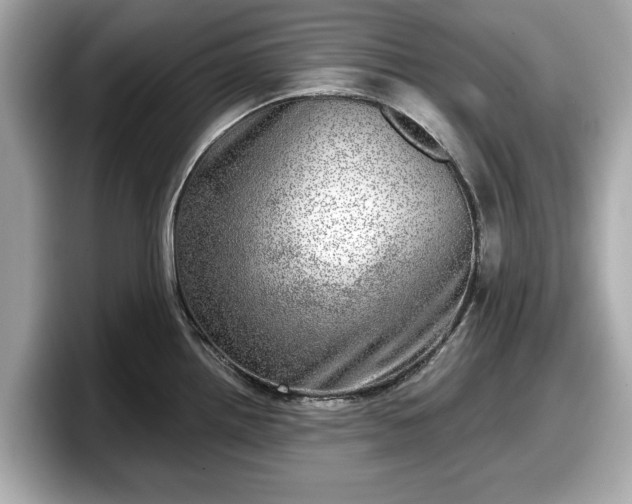 X0000098071242200804110916