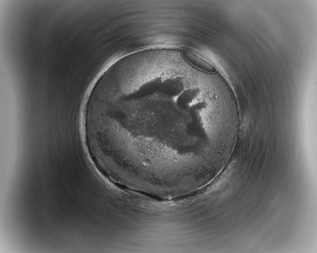 X0000098071243200804110916