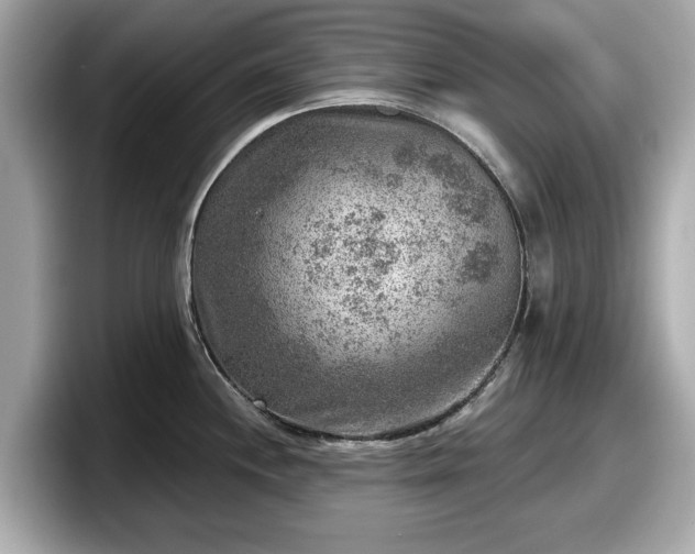 X0000098071244200804110916