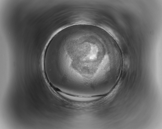 X0000098071246200804110916