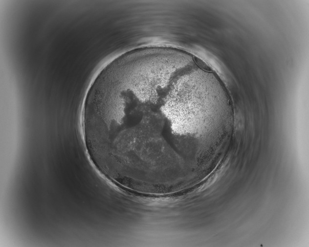 X0000098071247200804110916