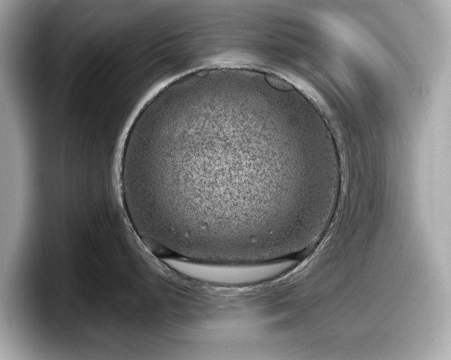 X0000098071248200804110916