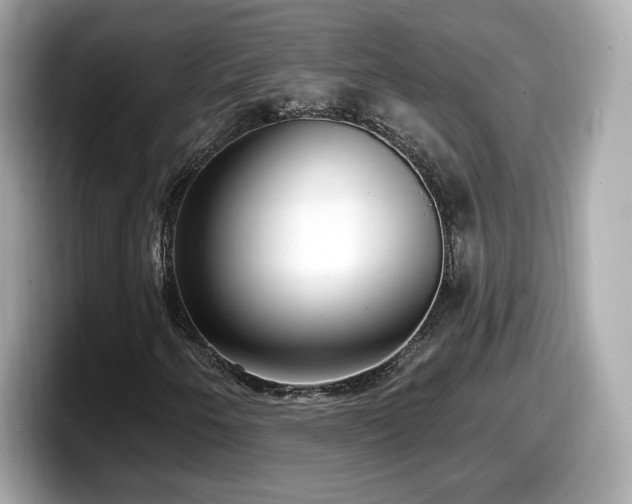 X0000098071250200804110915