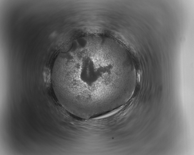 X0000098071251200804110915