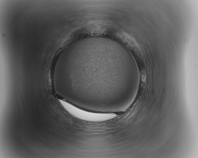 X0000098071252200804110915