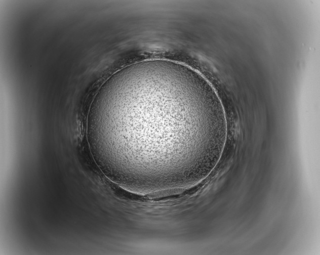 X0000098071253200804110915