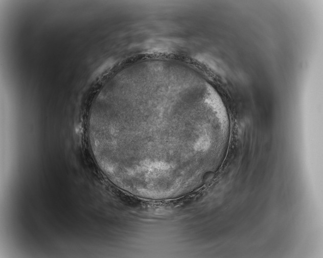 X0000098071254200804110915