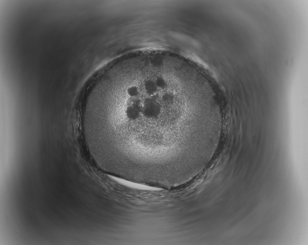 X0000098071255200804110915