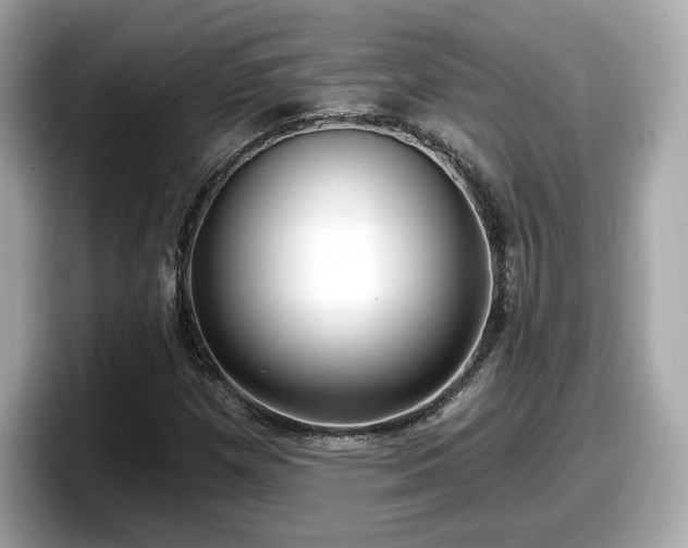 X0000098071257200804110915