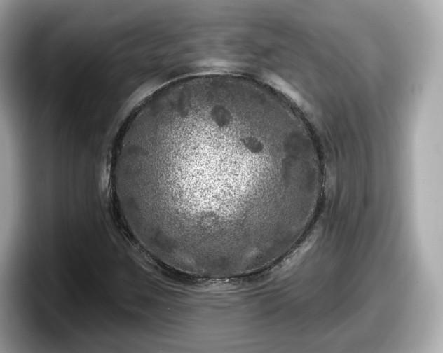 X0000098071259200804110915