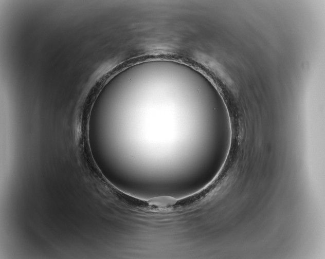 X0000098071261200804110915