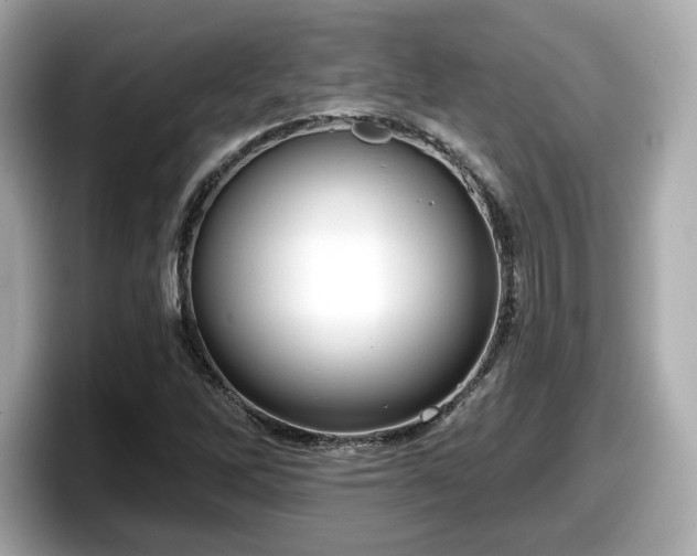 X0000098071262200804110915