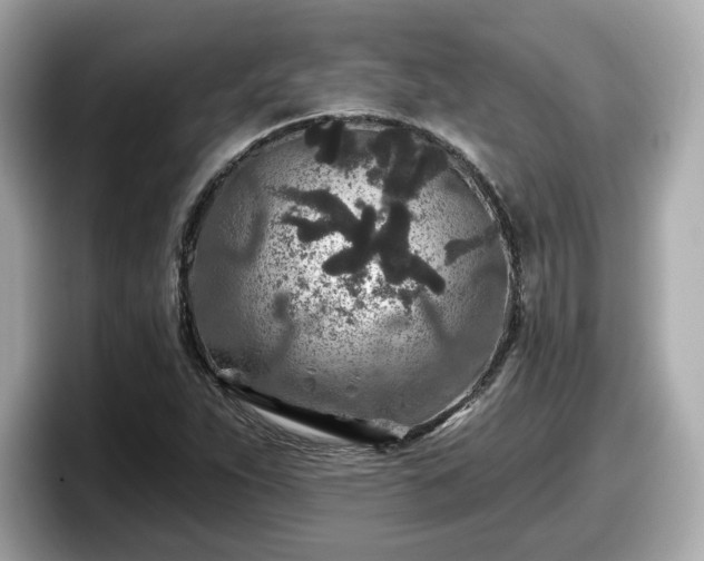 X0000098071263200804110915