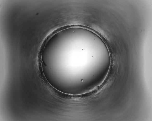 X0000098071264200804110915