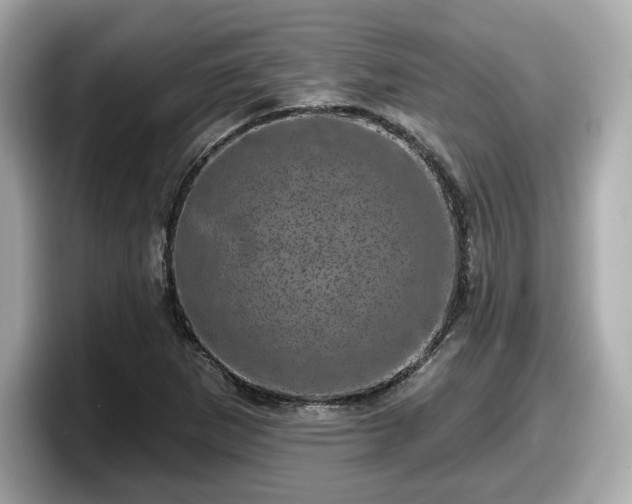 X0000098071265200804110915