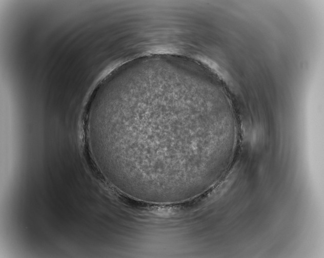 X0000098071266200804110915